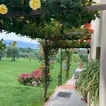 Daire Podere Agli Arrighi