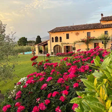 Apartment Podere Agli Arrighi