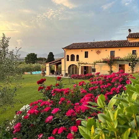 Podere Agli Arrighi