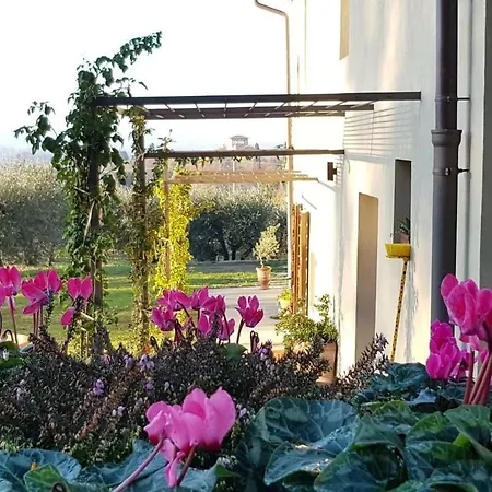 Podere Agli Arrighi Apartment